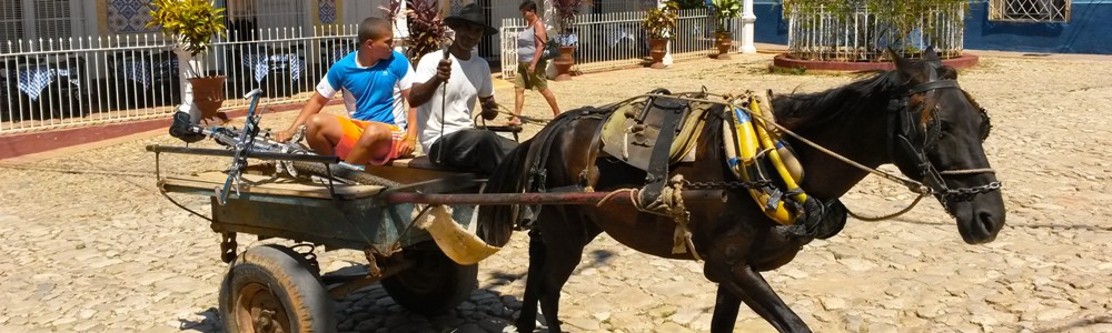 Kuba Sprachaufenthalt in Havanna (Vedado)